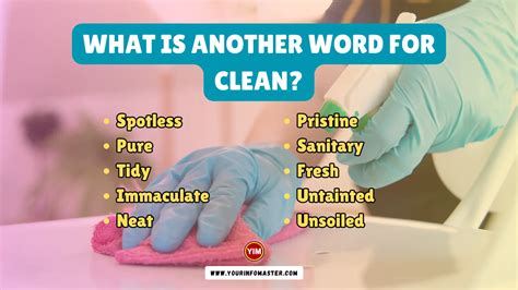 cleaning another word|another word for cleaning skills.